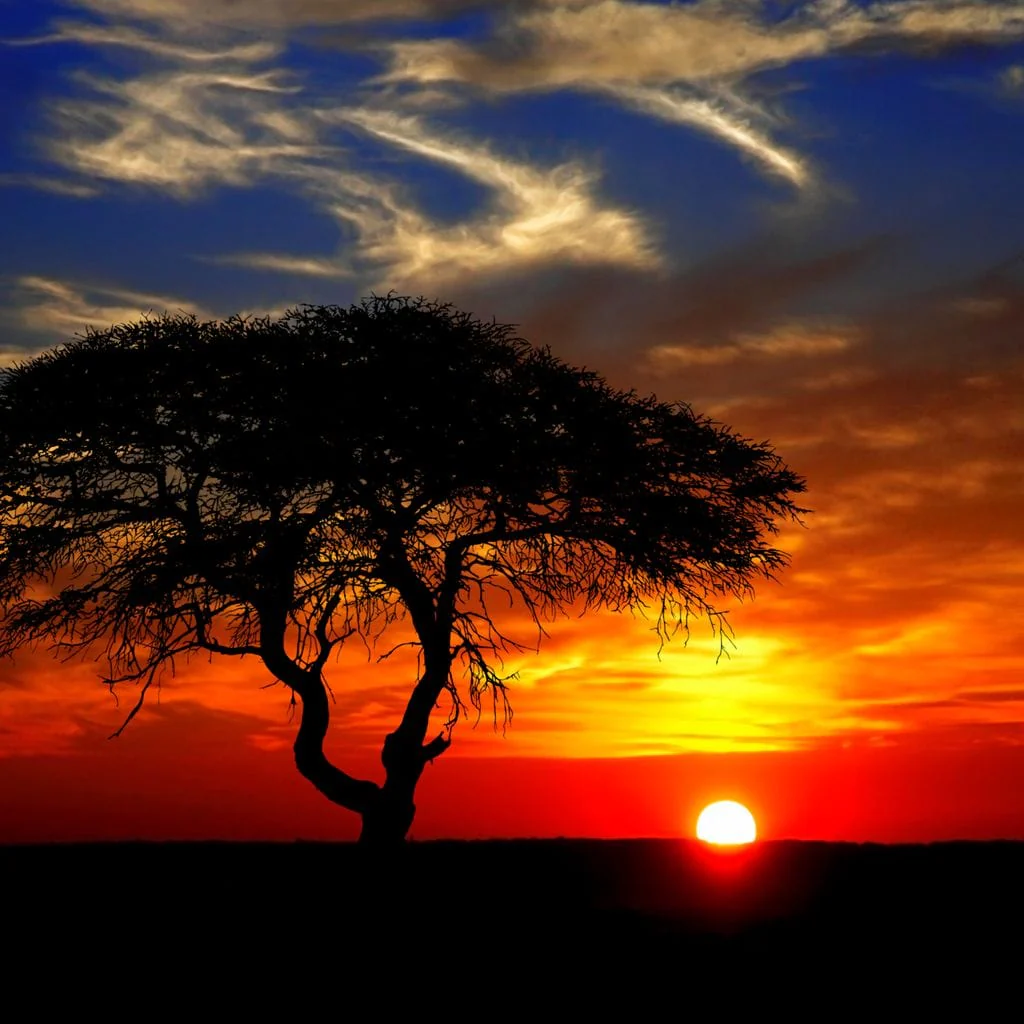 African Landscape Sunset - Image 19
