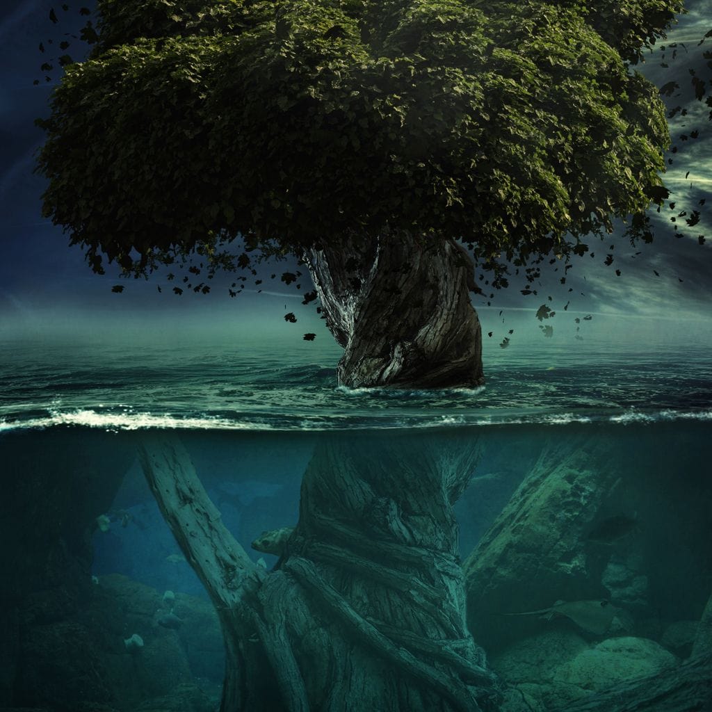 Alone in Depth - Milos Karanovic - Image 16