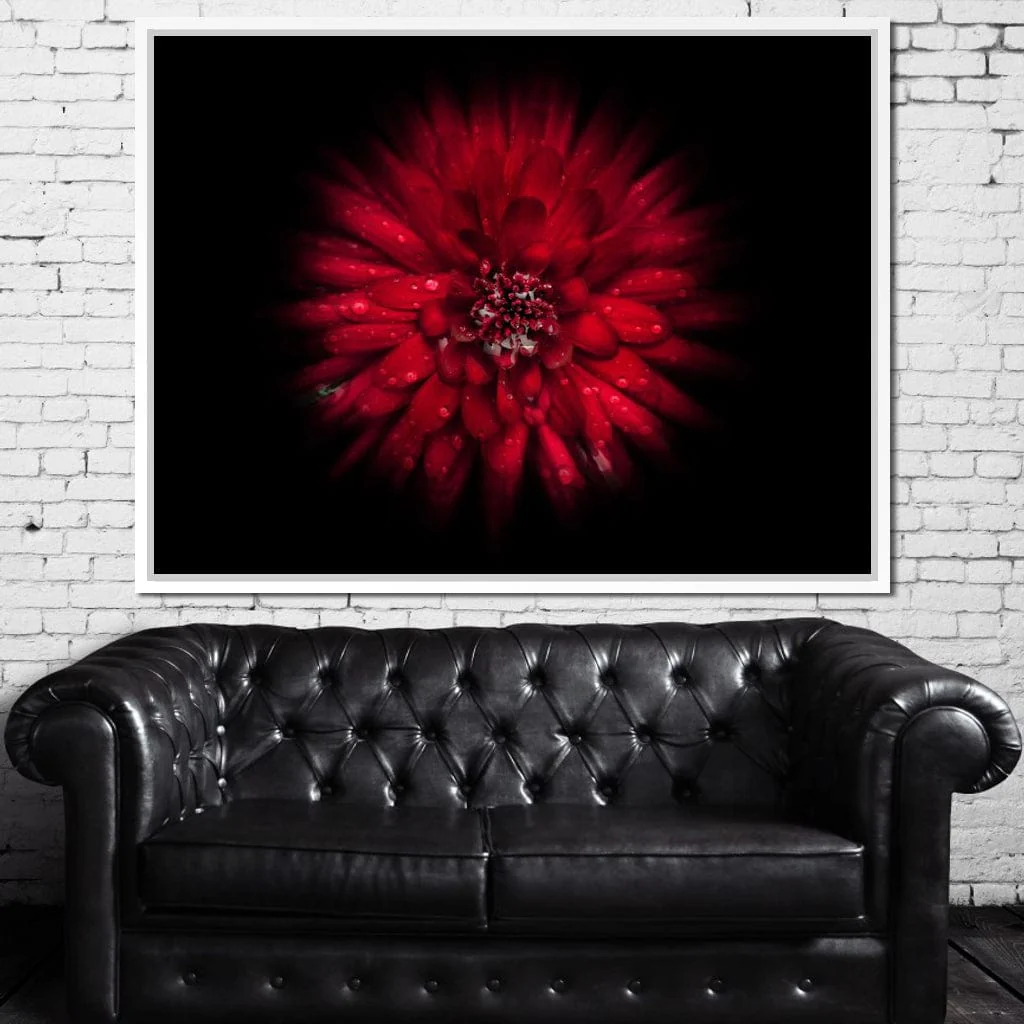 Backyard Flowers 45 - Brian Carson - Image 15
