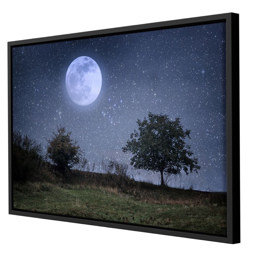 Beautiful Moonlight - Image 8