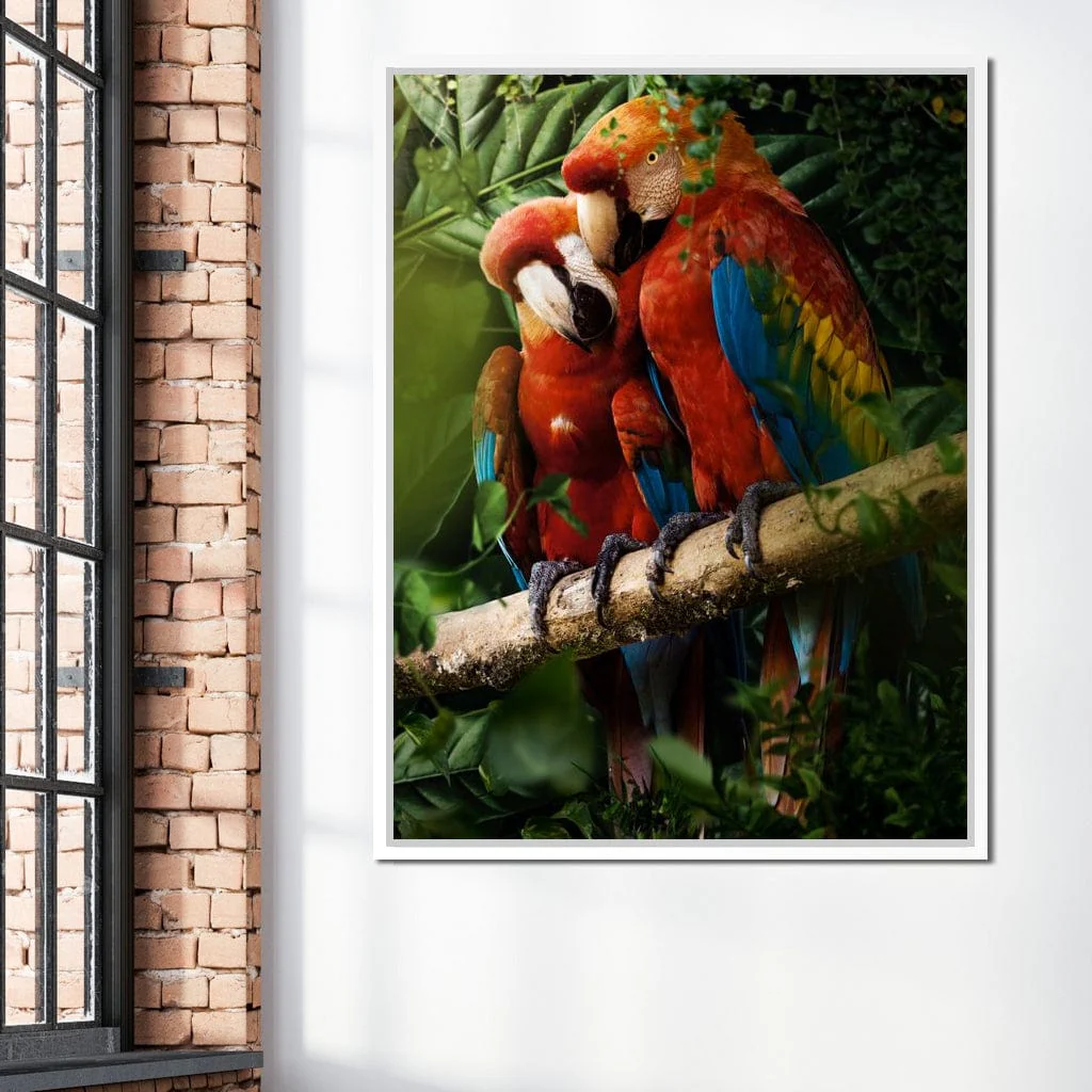 Beautiful Parrots - Milos Karanovic - Image 15