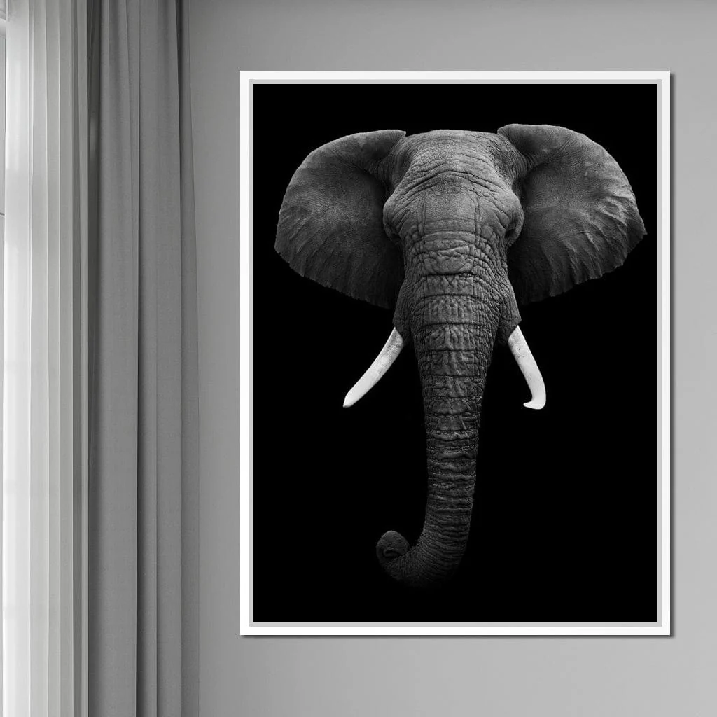 Black and White Elephant Face - Image 11