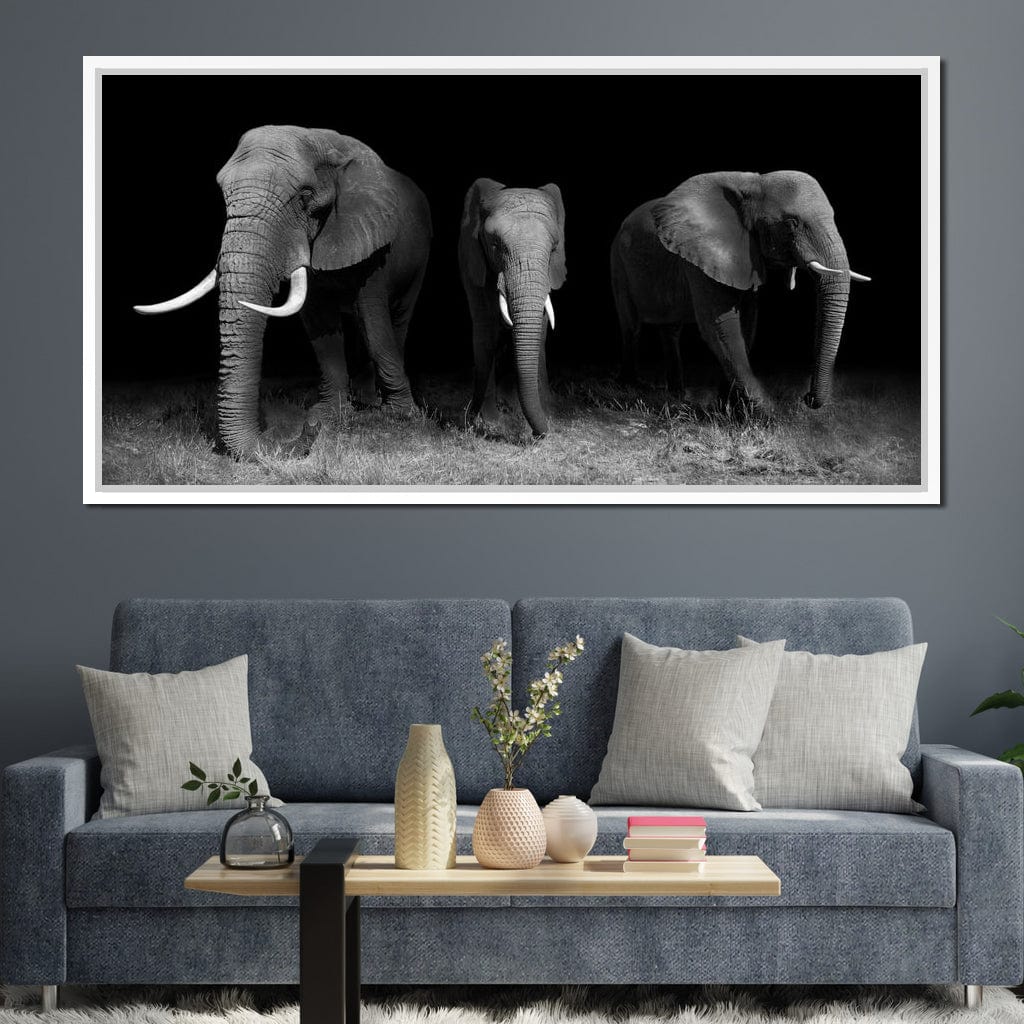 Black and White Elephants - Image 12