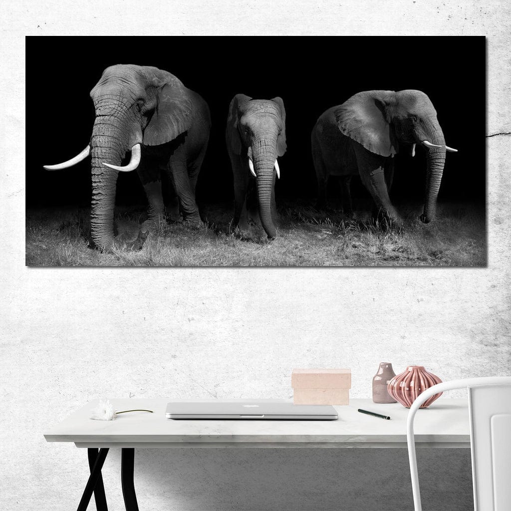 Black and White Elephants - Image 3