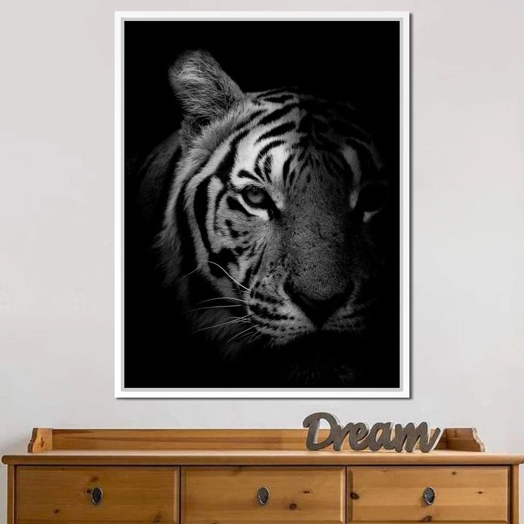 Black and White Fading Tiger - Image 14
