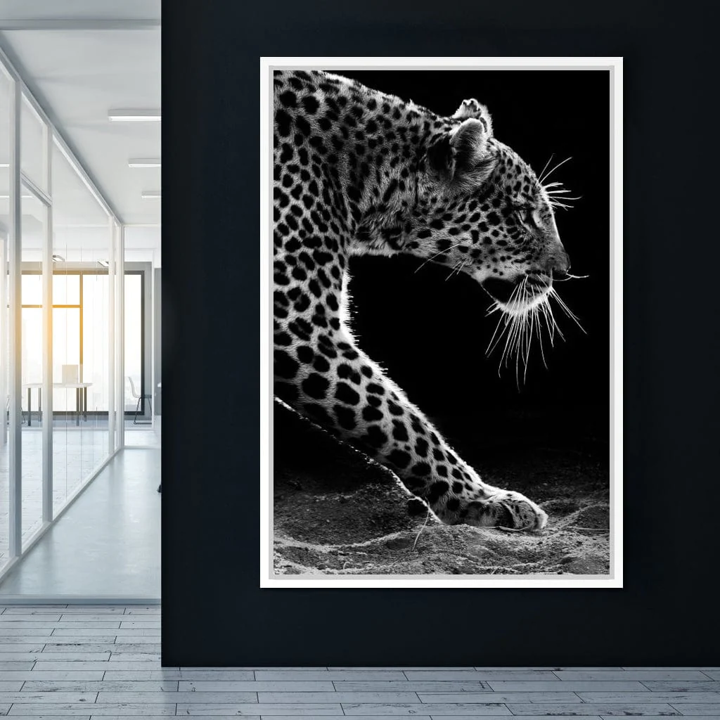 Black and white Leopard - Image 16