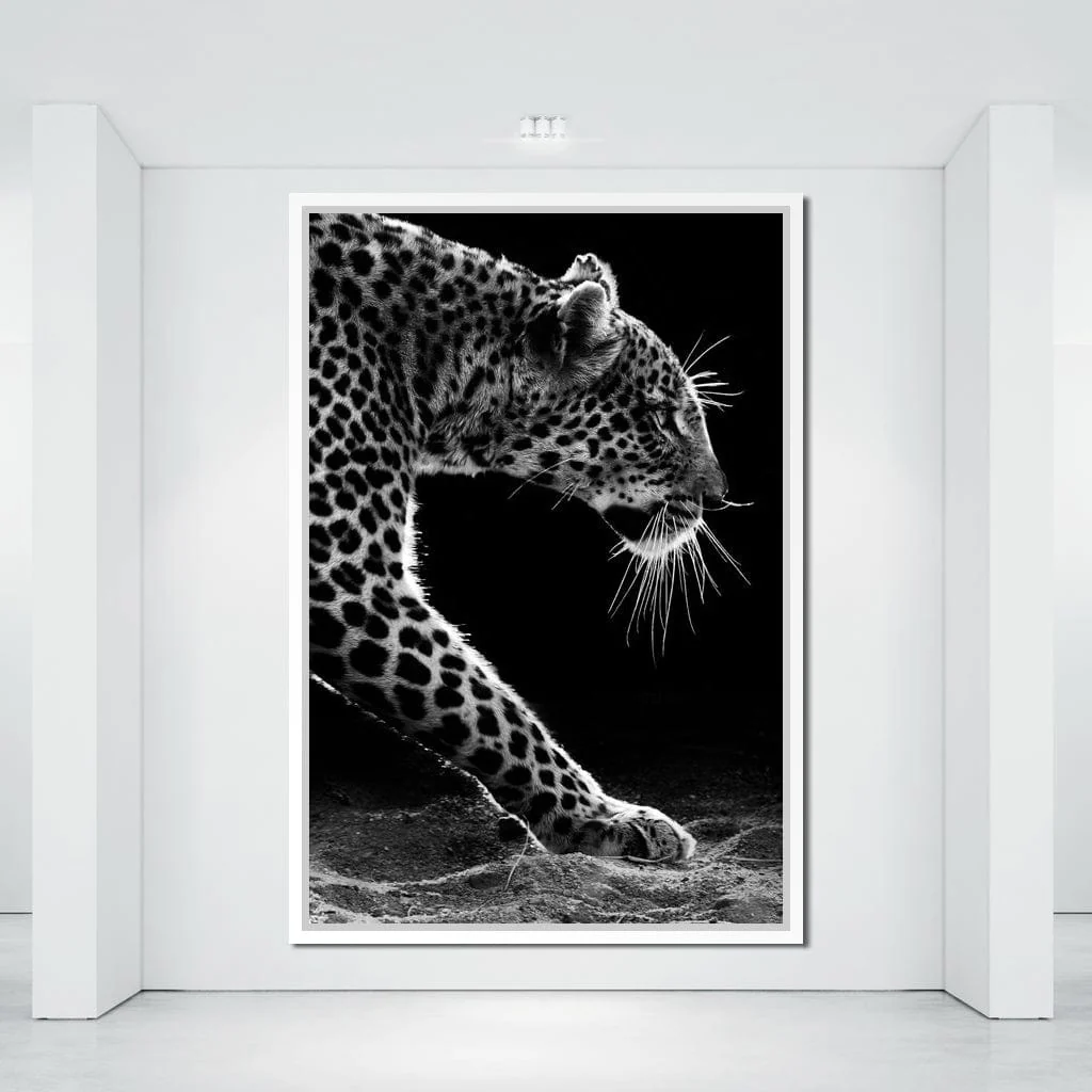 Black and white Leopard - Image 18