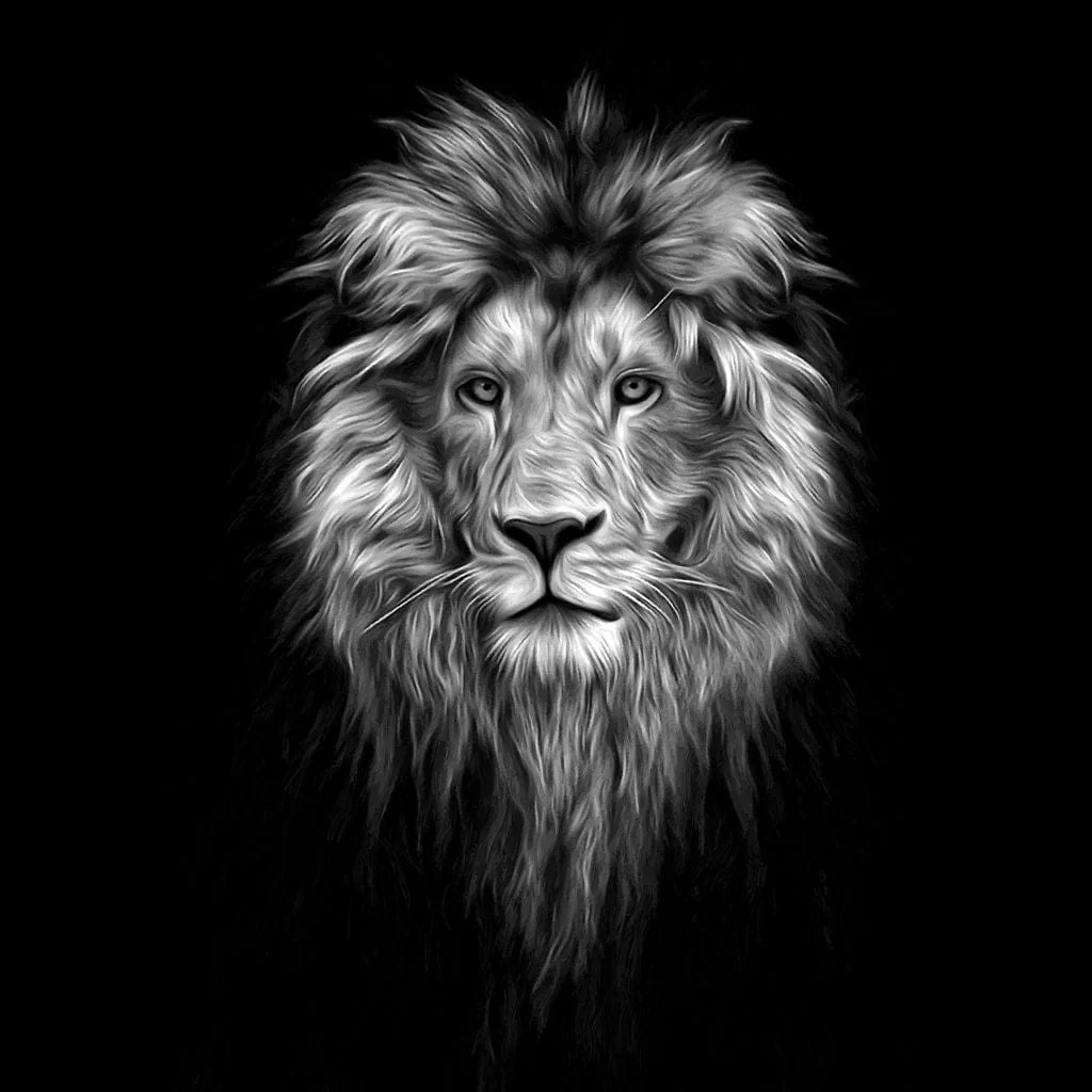 Black and White Lion Face - Image 16