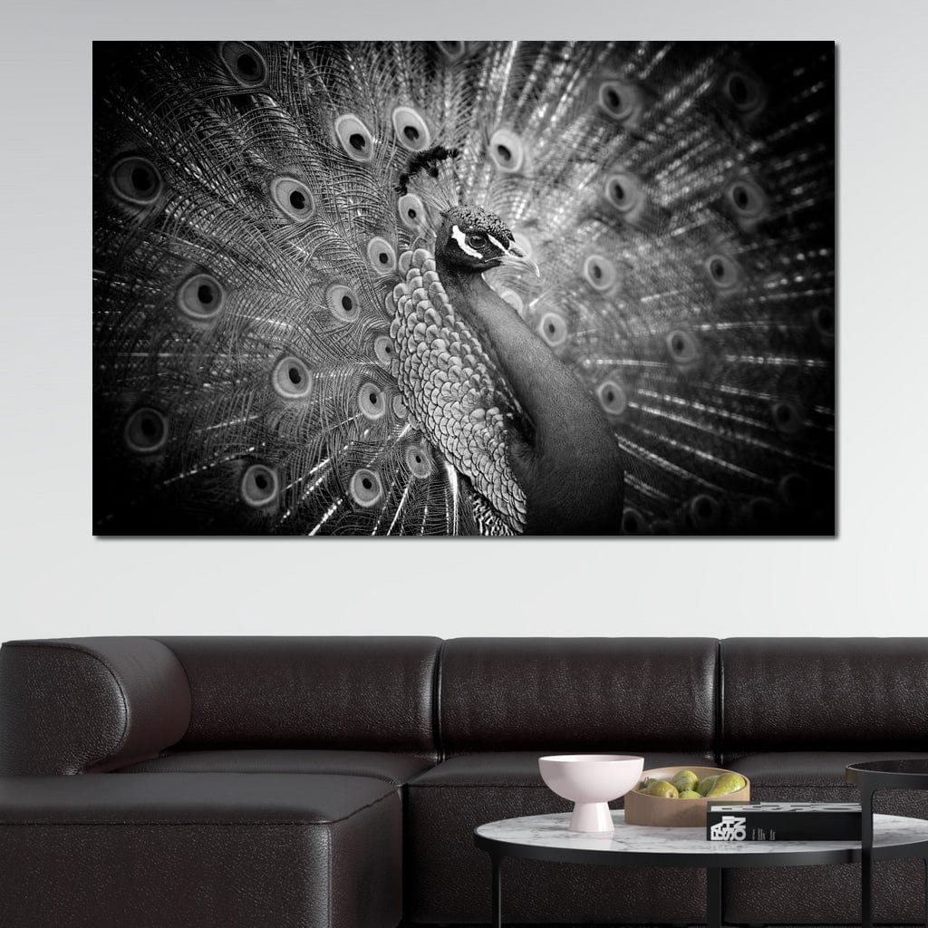 Black and White Peacock - Image 4