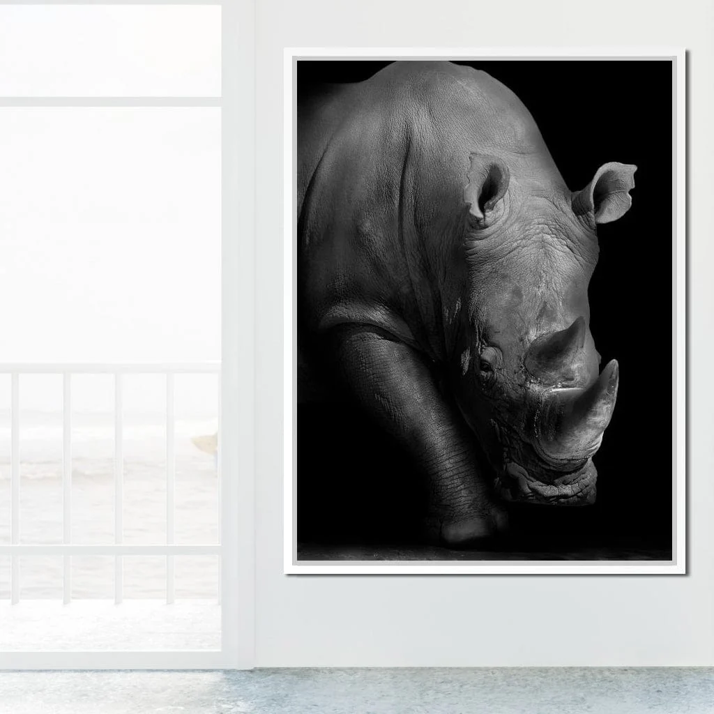 Black and White Rhino - Image 14