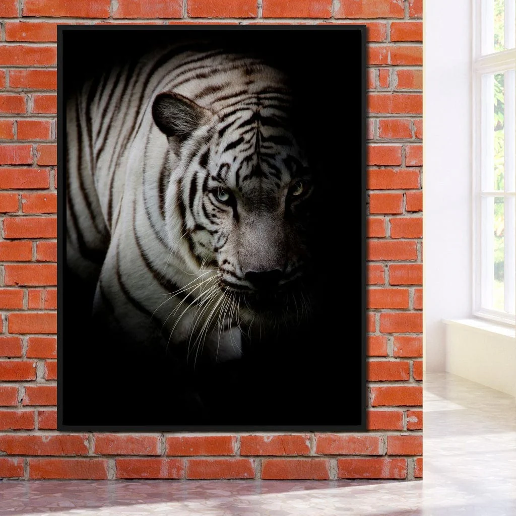 Black and White Tiger - Image 9