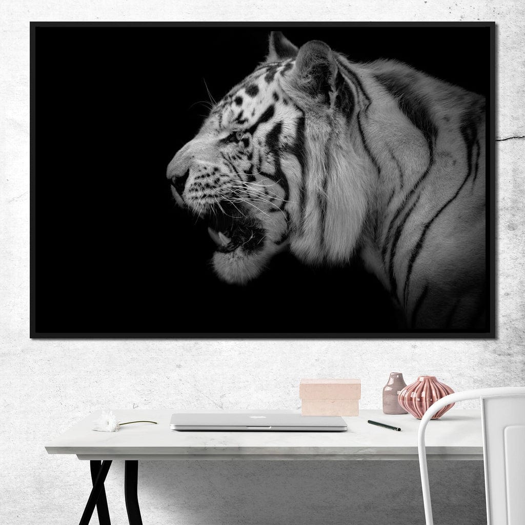 Black and White Tiger Profile - Image 8