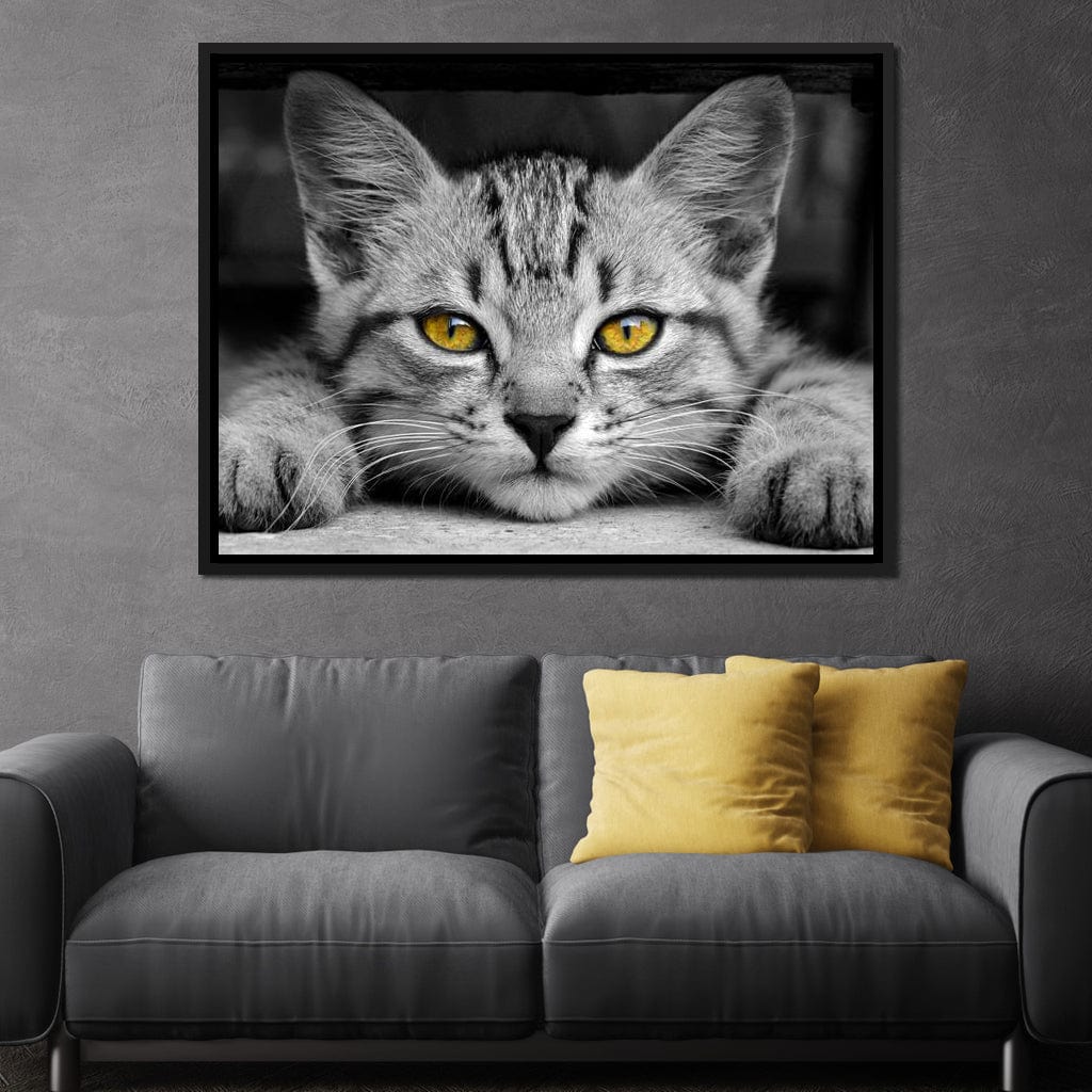Black & White Cat with Yellow Eyes