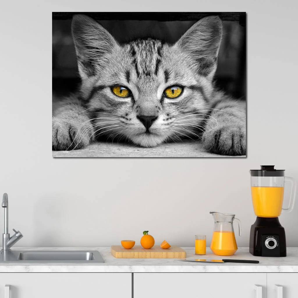 Black & White Cat with Yellow Eyes - Image 10