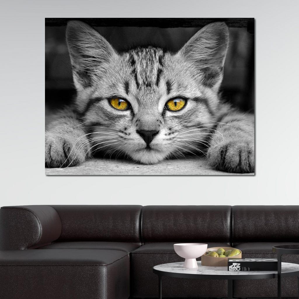 Black & White Cat with Yellow Eyes - Image 12