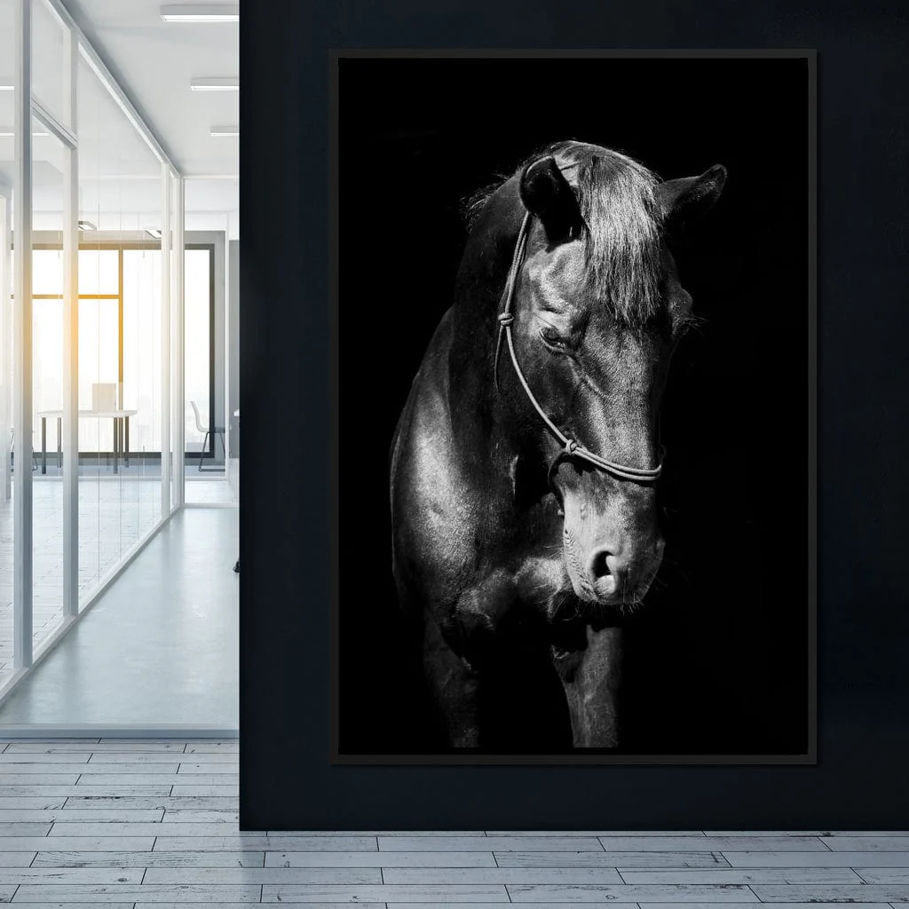 Black & White Horse Head - Image 11