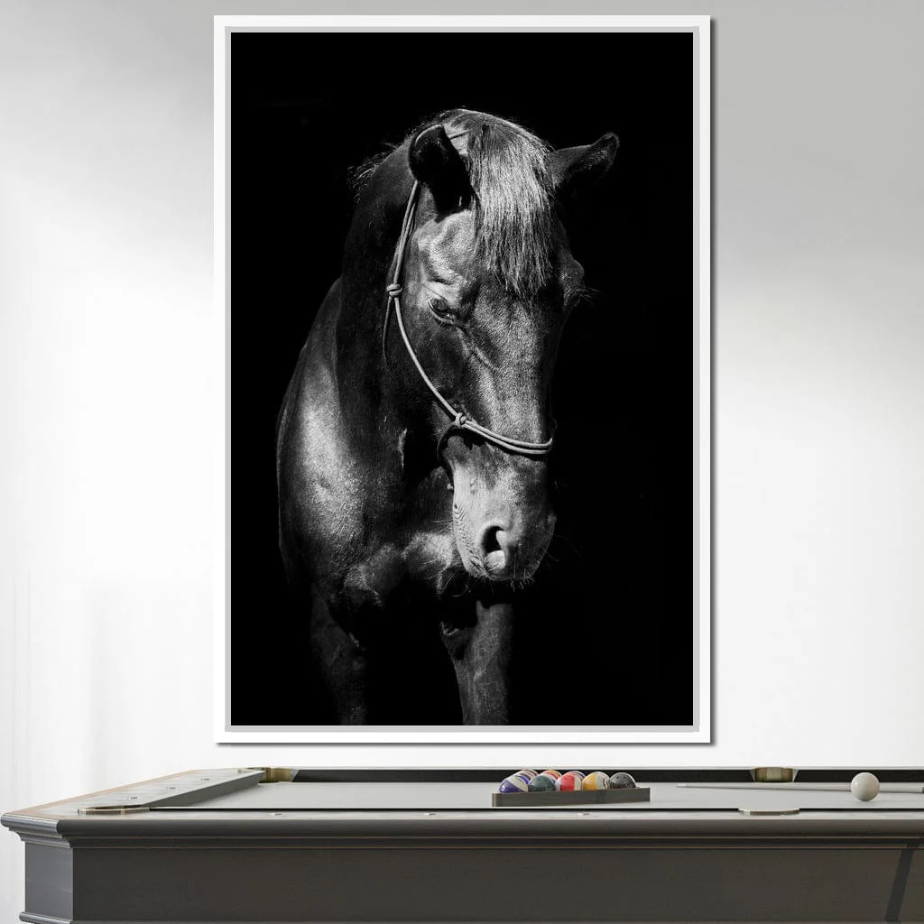 Black & White Horse Head - Image 16