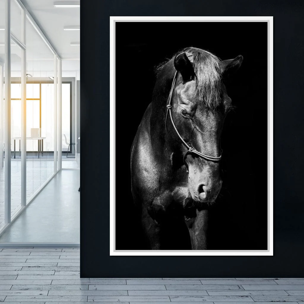 Black & White Horse Head - Image 17