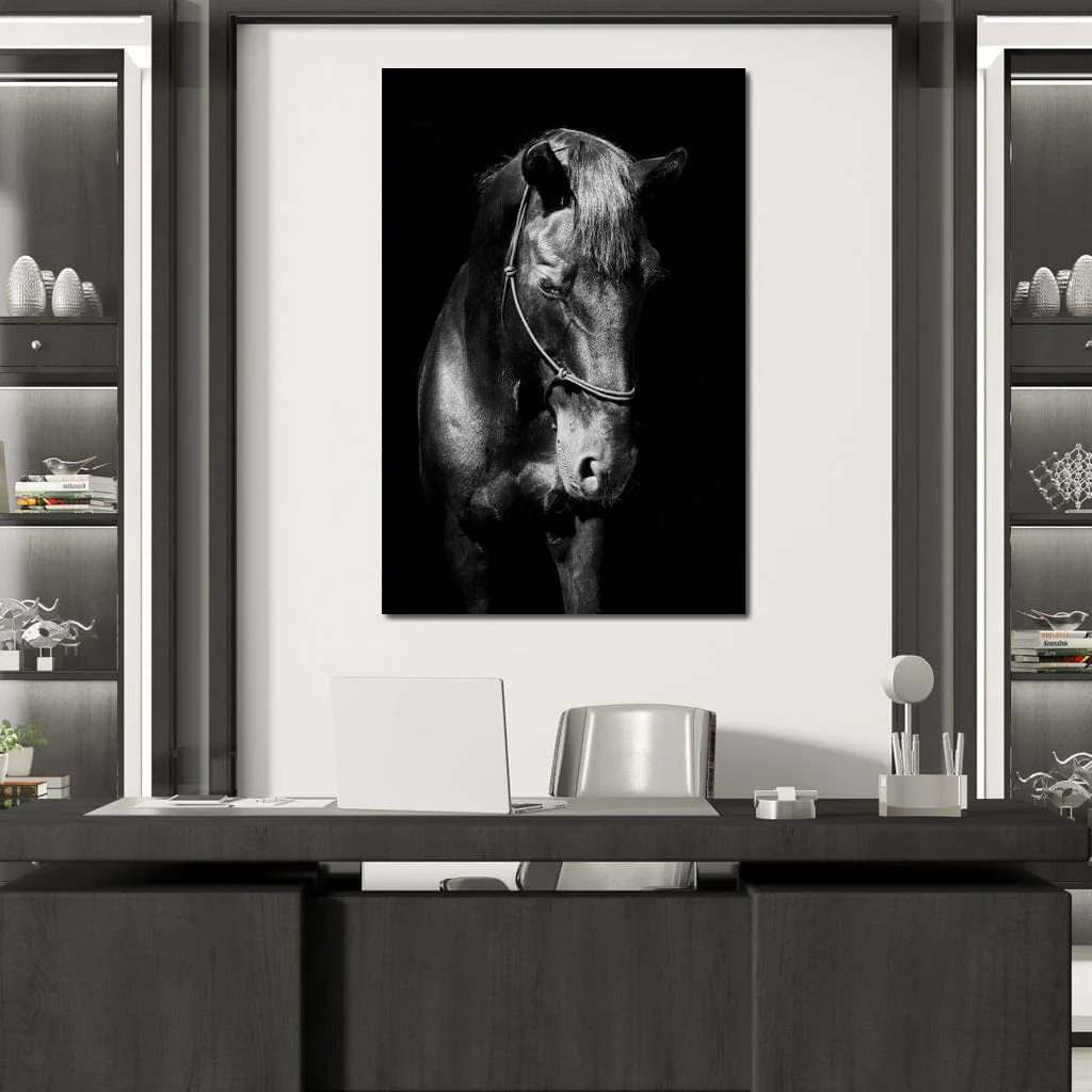 Black & White Horse Head - Image 4