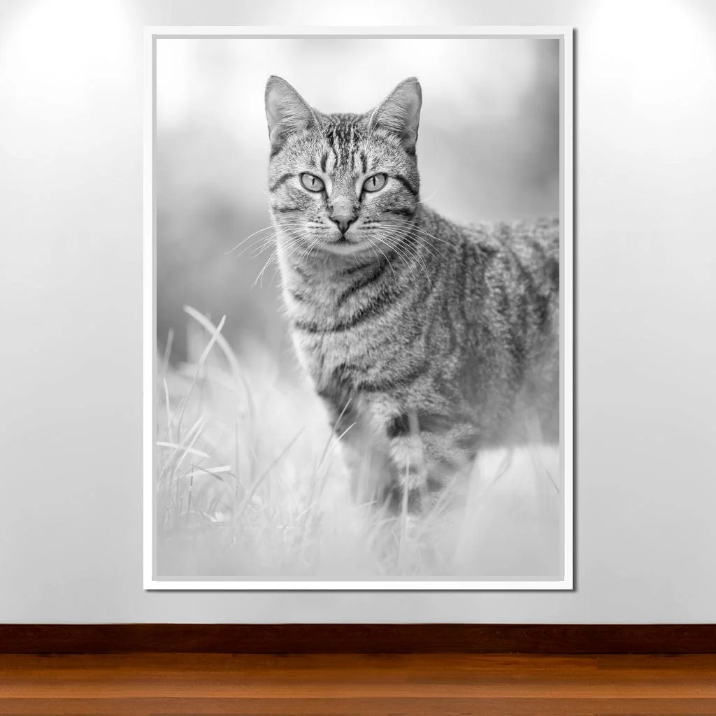 Black & White Kitty Cat - Ben Heine - Image 14