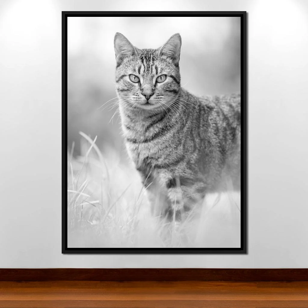 Black & White Kitty Cat - Ben Heine - Image 9