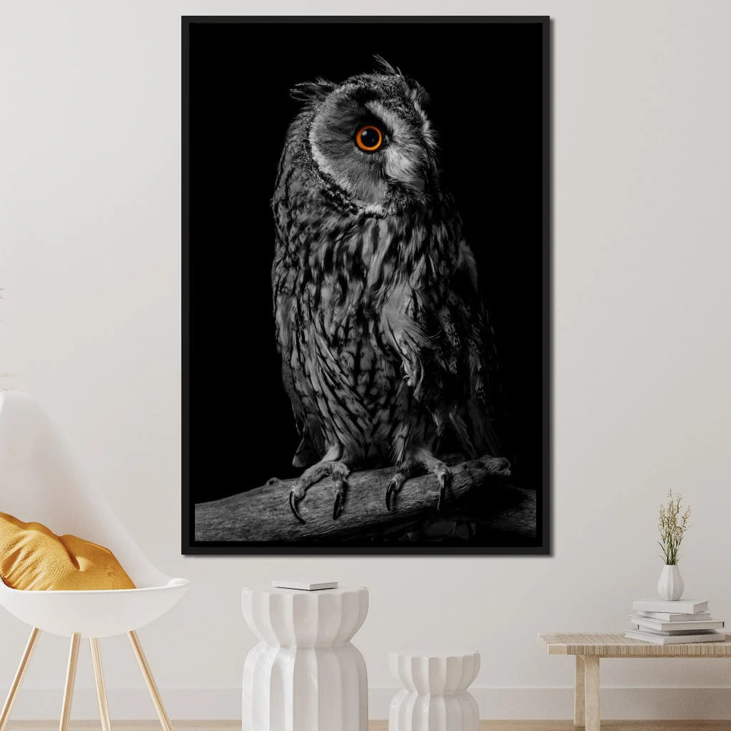 Black & White Owl - Image 10