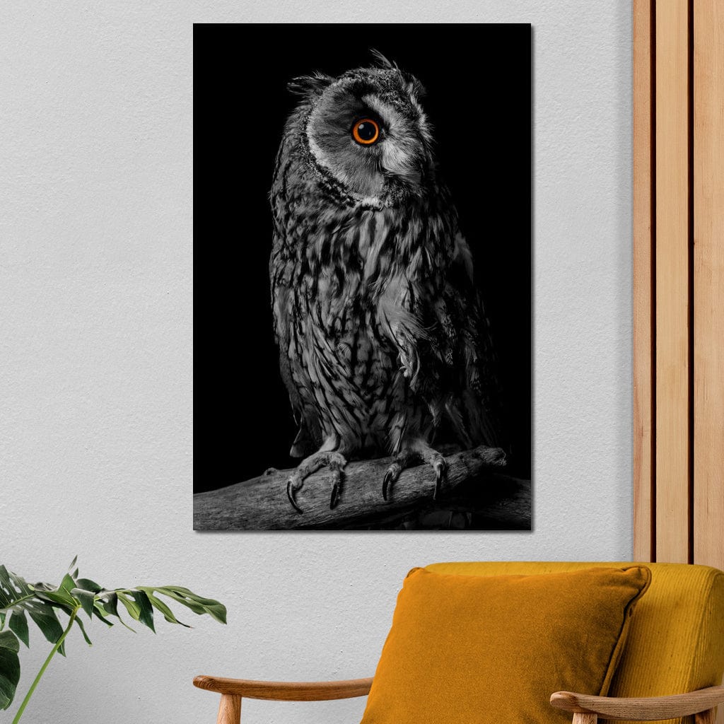 Black & White Owl - Image 2