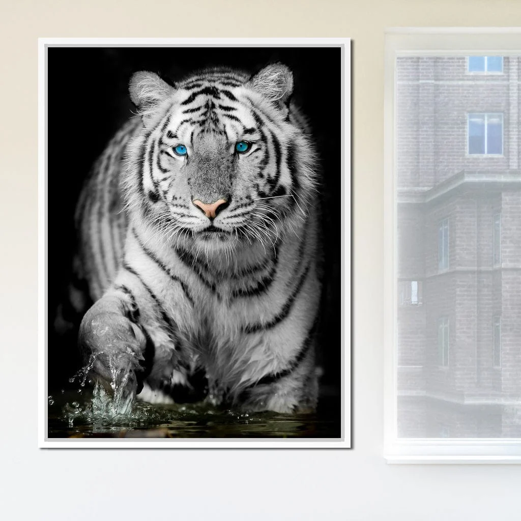 Blue Eyed Snow Tiger - Image 13