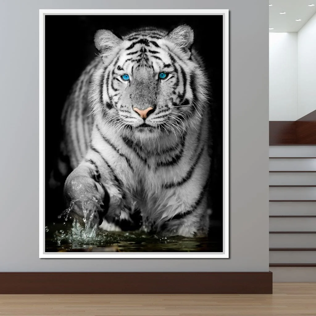 Blue Eyed Snow Tiger - Image 15