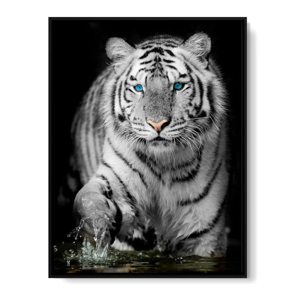 Blue Eyed Snow Tiger - Image 17