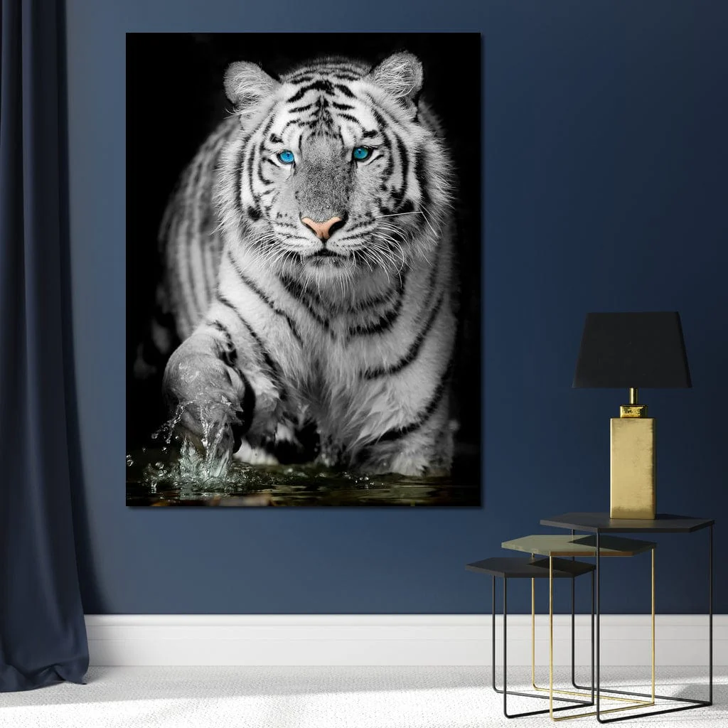 Blue Eyed Snow Tiger - Image 2