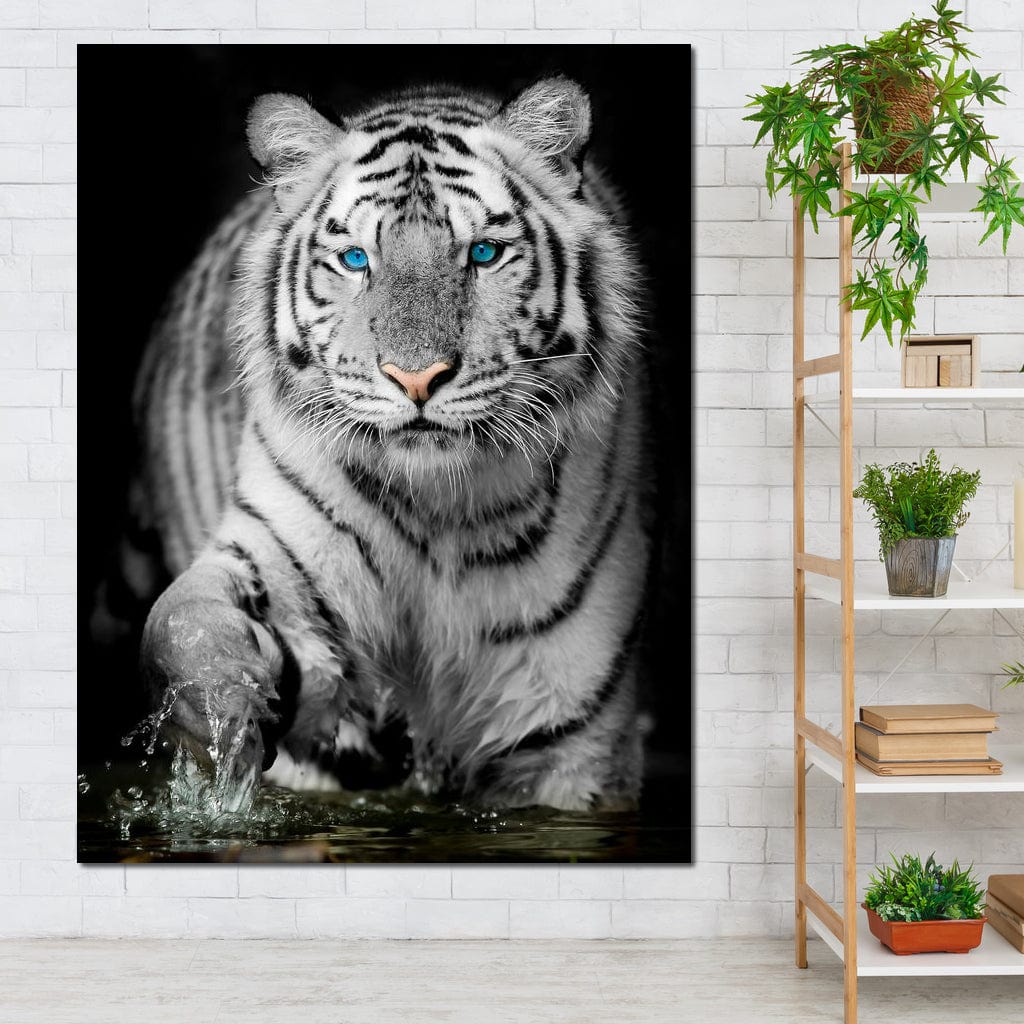 Blue Eyed Snow Tiger - Image 5