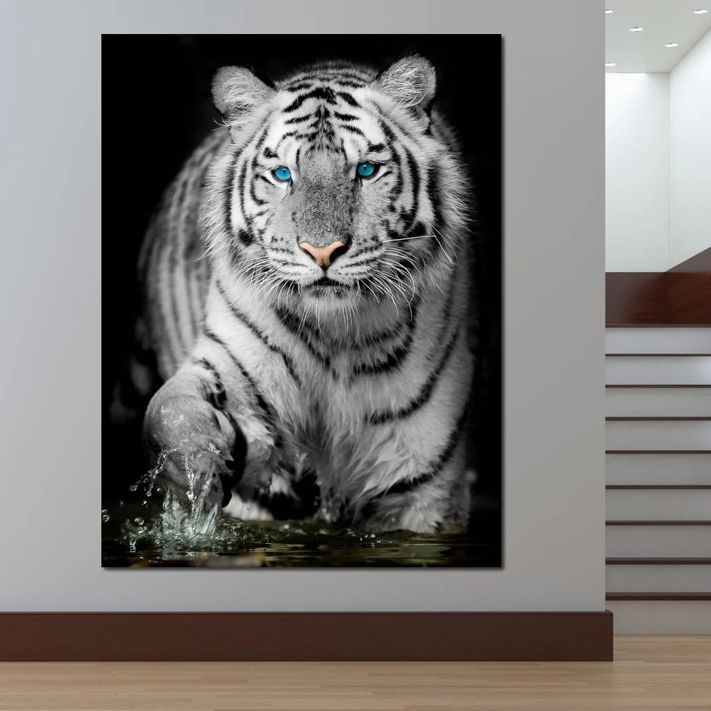 Blue Eyed Snow Tiger - Image 6