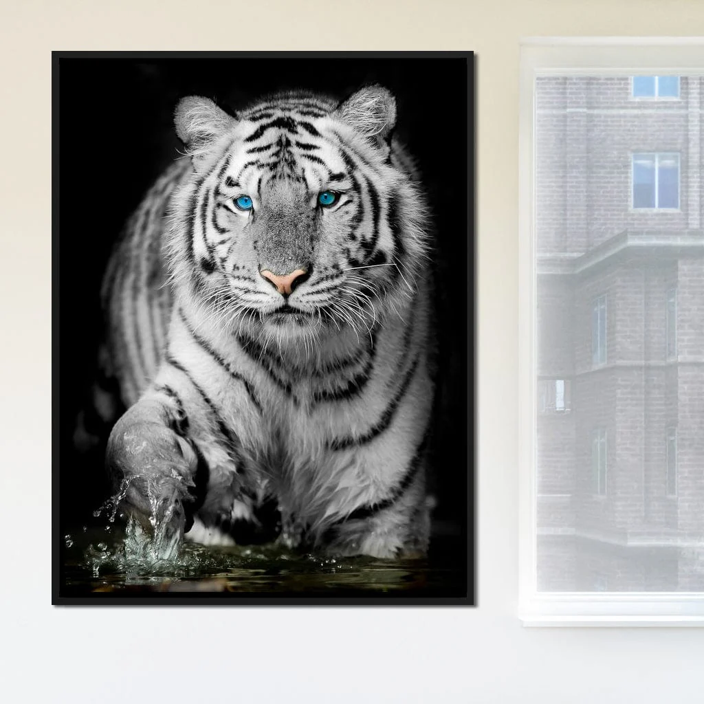 Blue Eyed Snow Tiger - Image 8