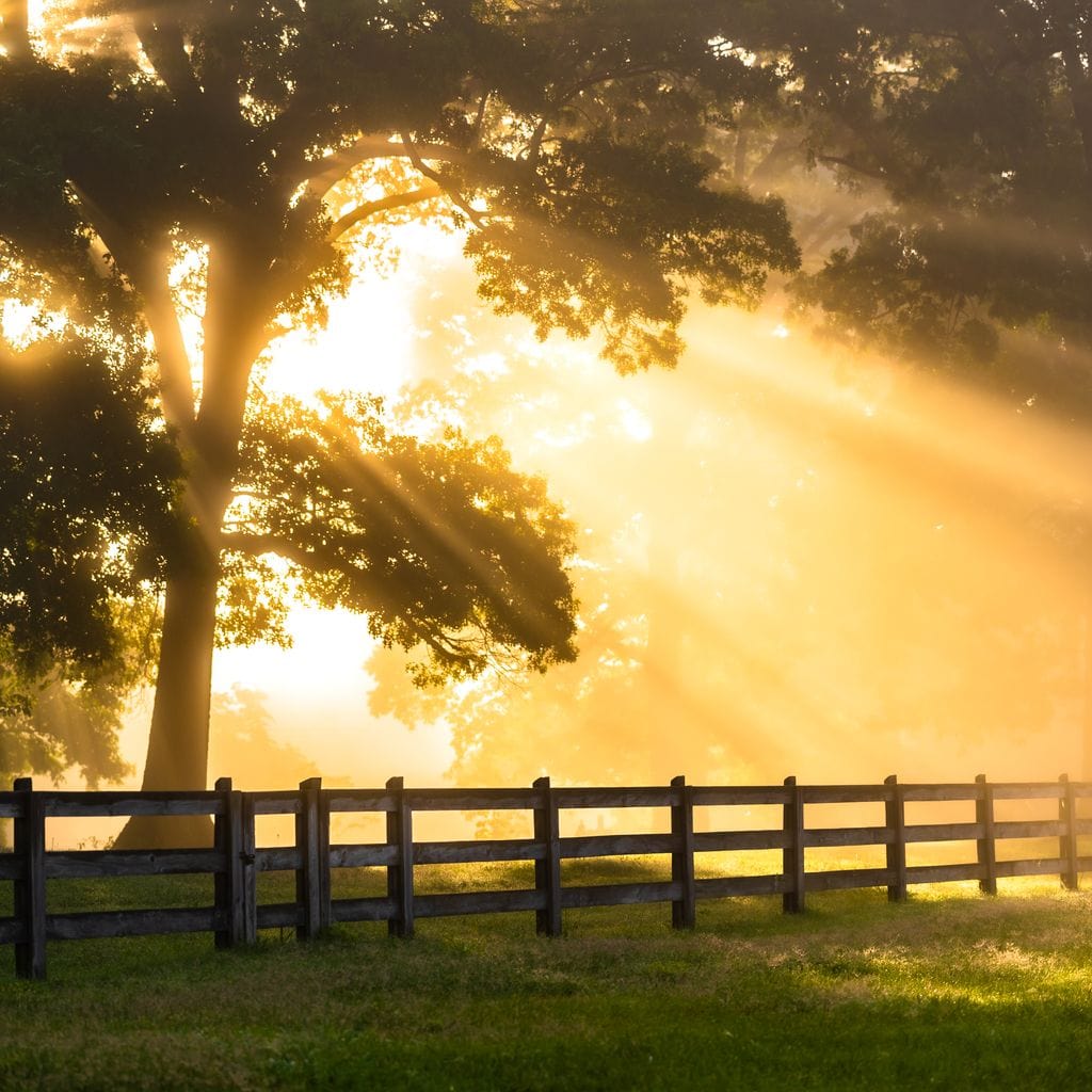 Break of Dawn - Lucas Moore - Image 19