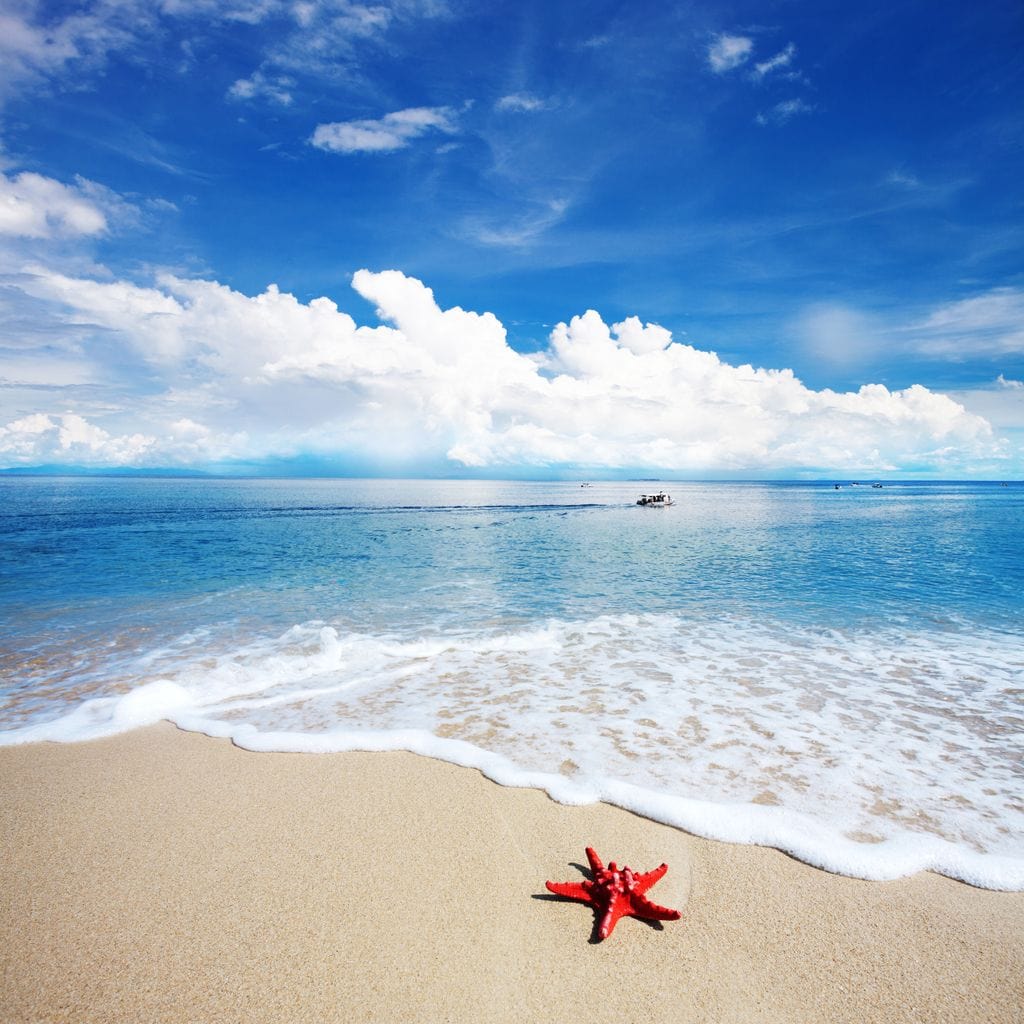 Caribbean Beach - Image 16