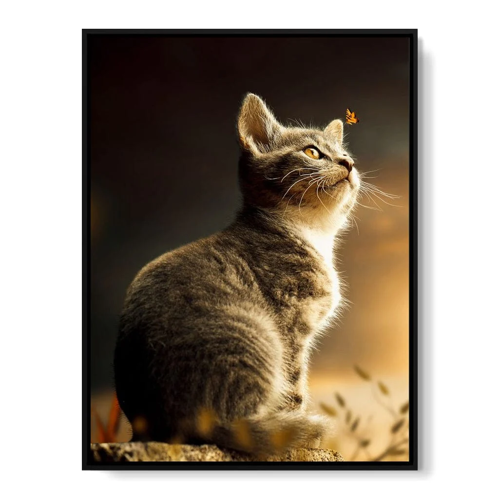 Cat - Milos Karanovic - Image 17