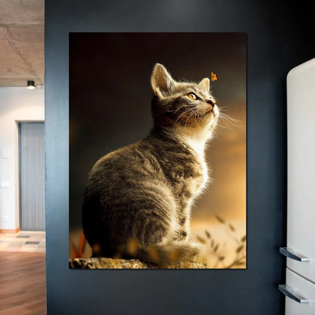 Cat - Milos Karanovic - Image 2