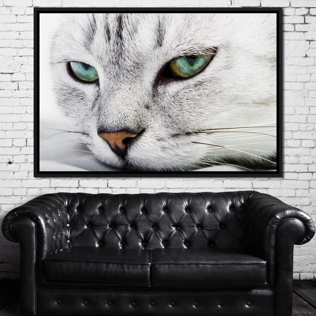 Cat Relaxing - Image 12