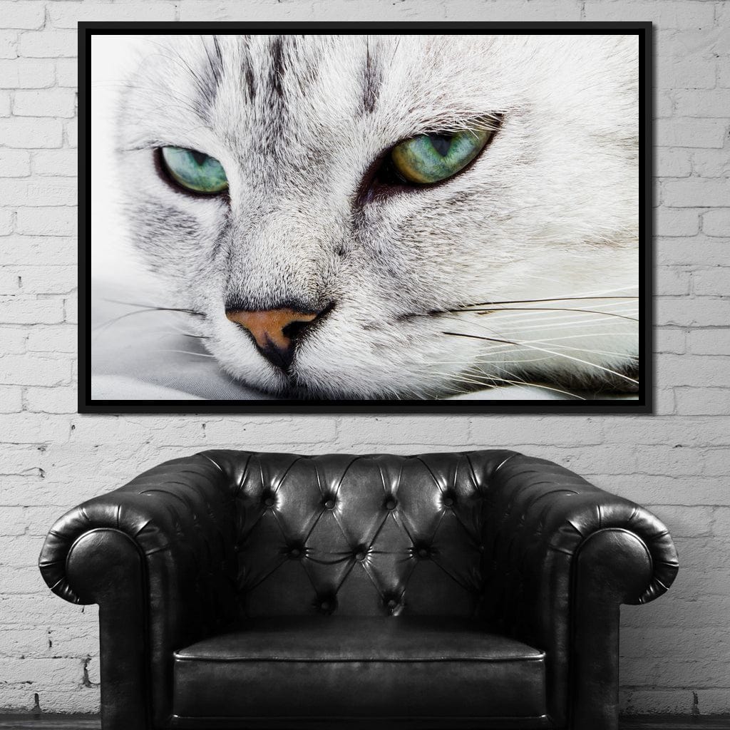 Cat Relaxing - Image 8