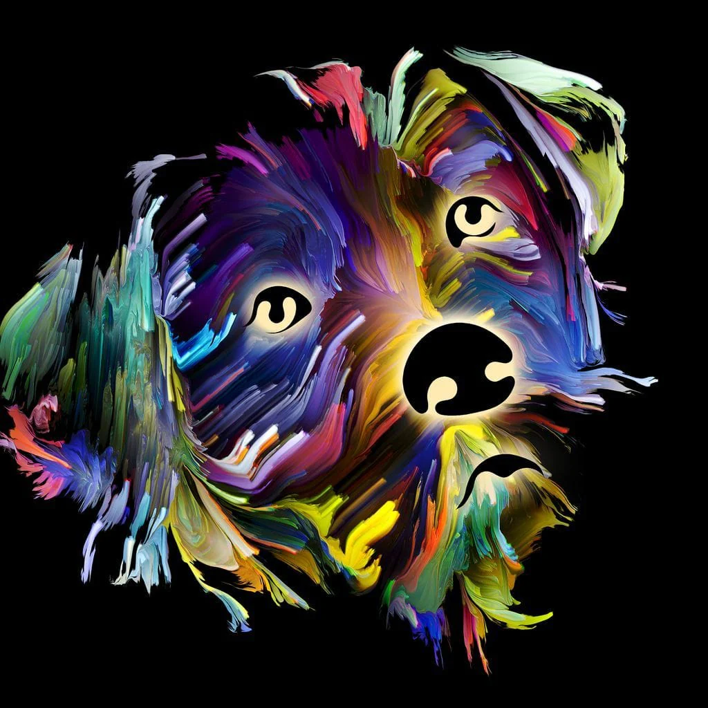 Coloful Dog on Black Background - Image 16
