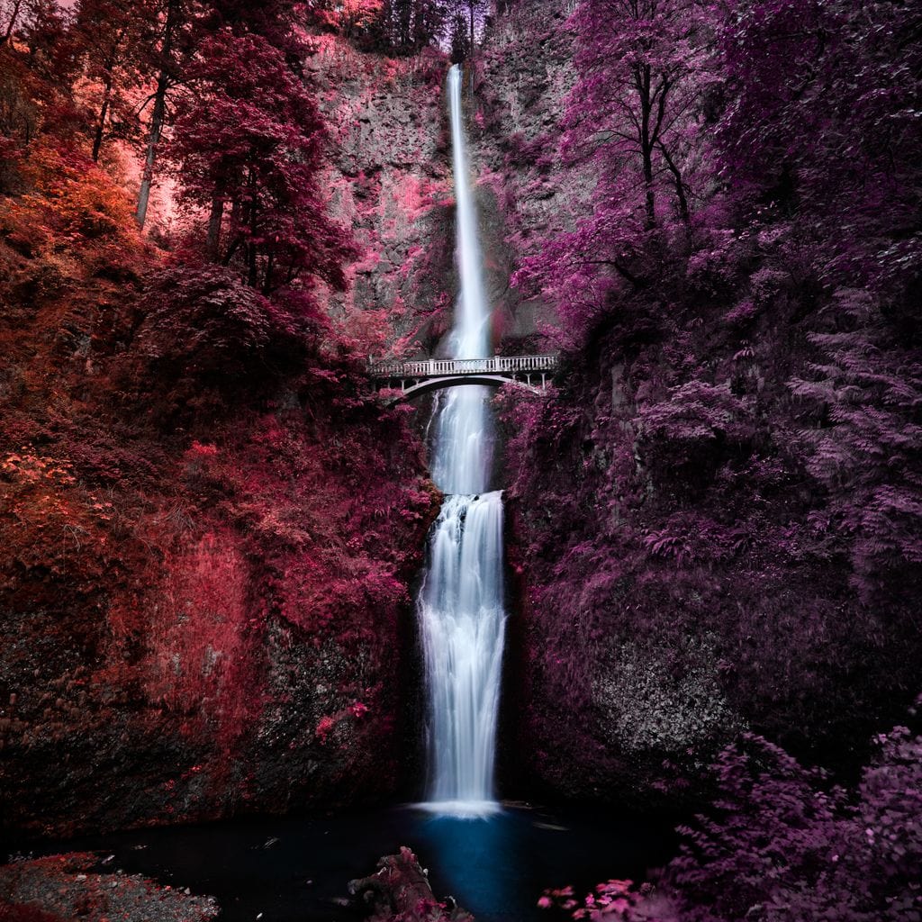 Colorful Falls - Lucas Moore - Image 19