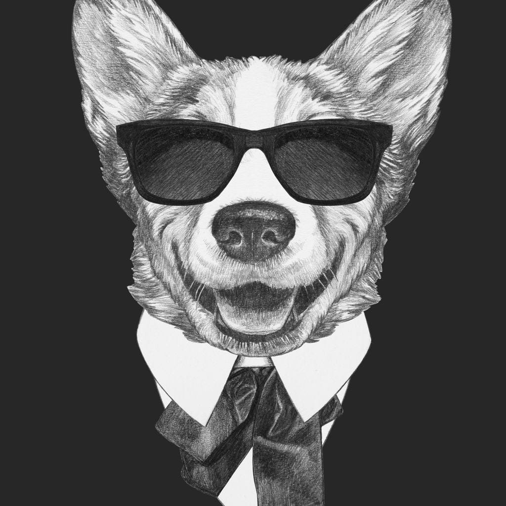 Dressed Up Corgi - Image 16