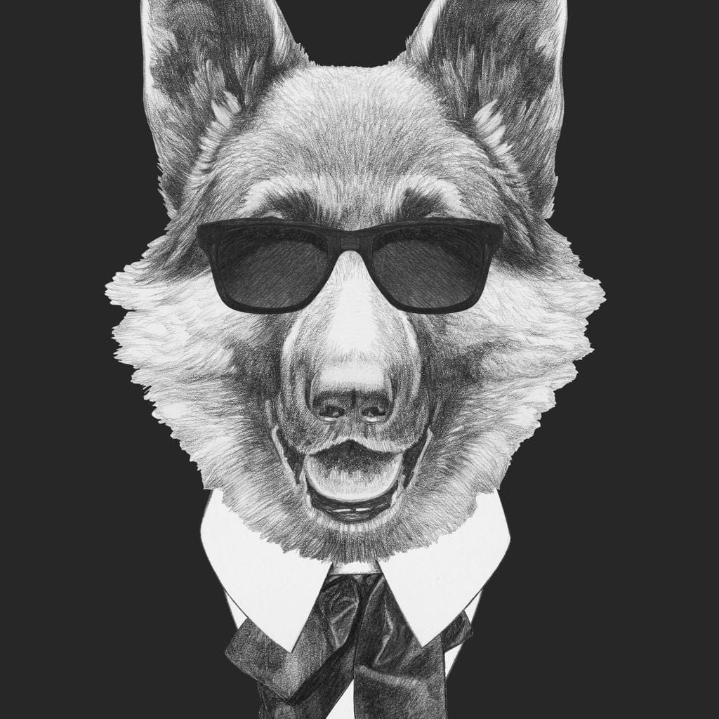 Dressed Up German Shepherd - Image 18