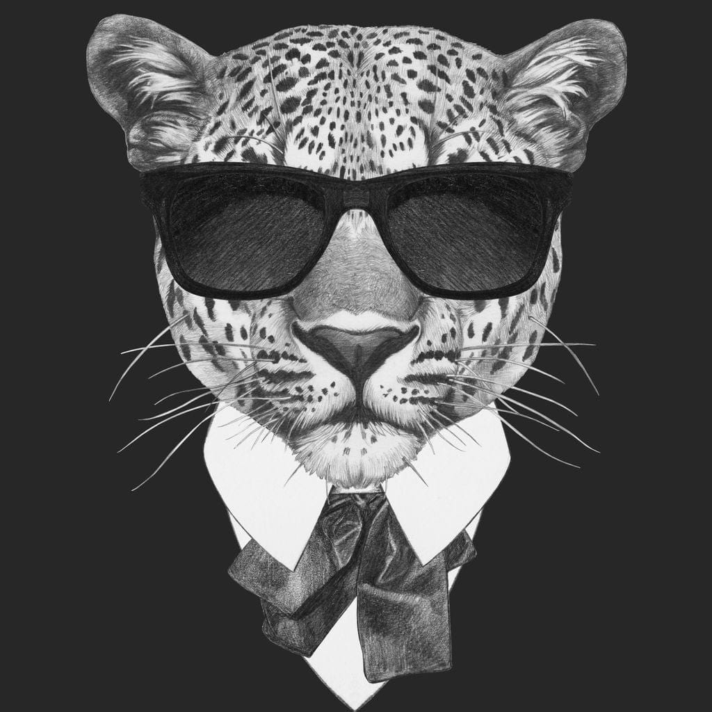 Dressed Up Leopard - Image 16