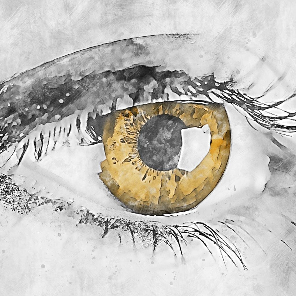 Eye - Mateo - Image 19