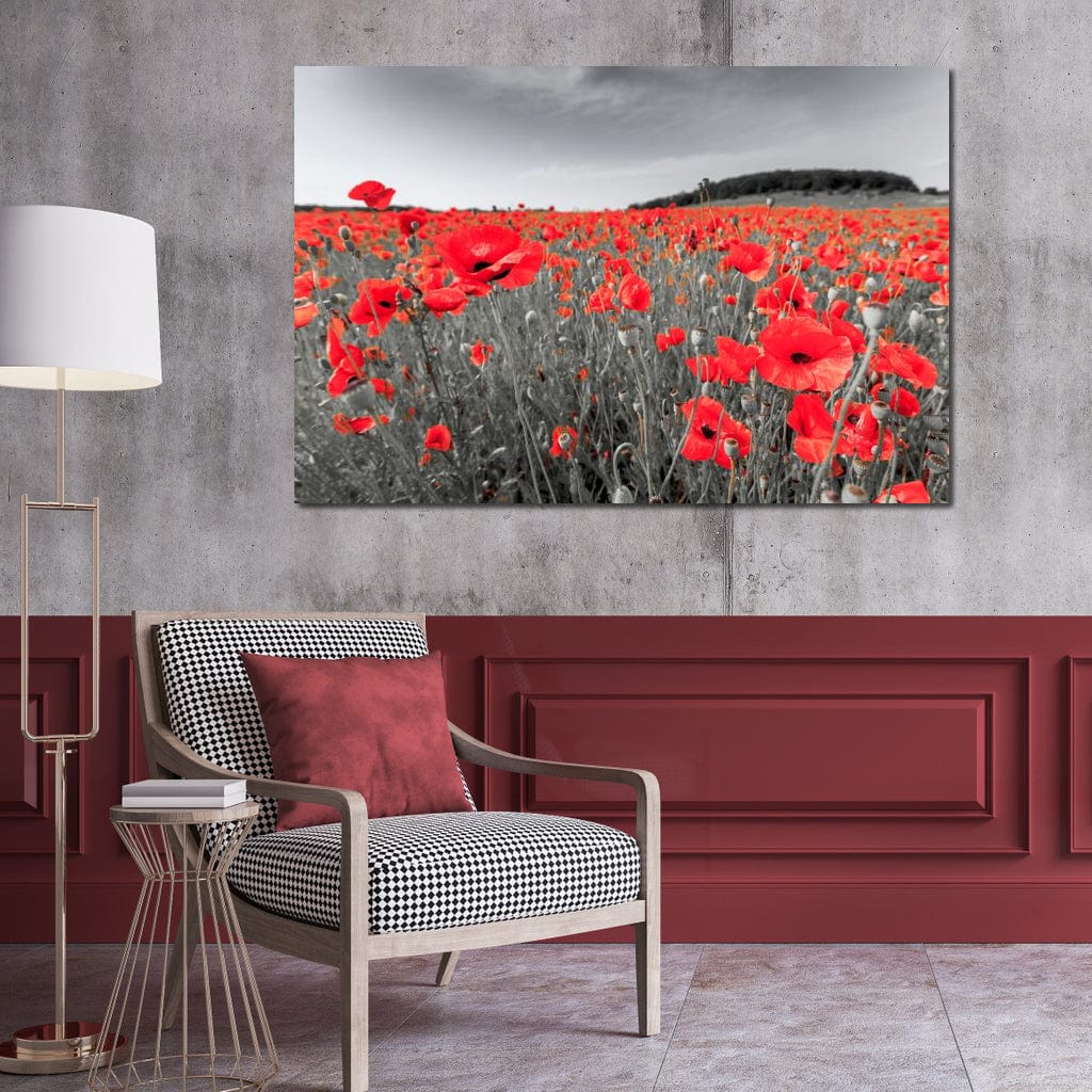 Flanders Fields - Image 6