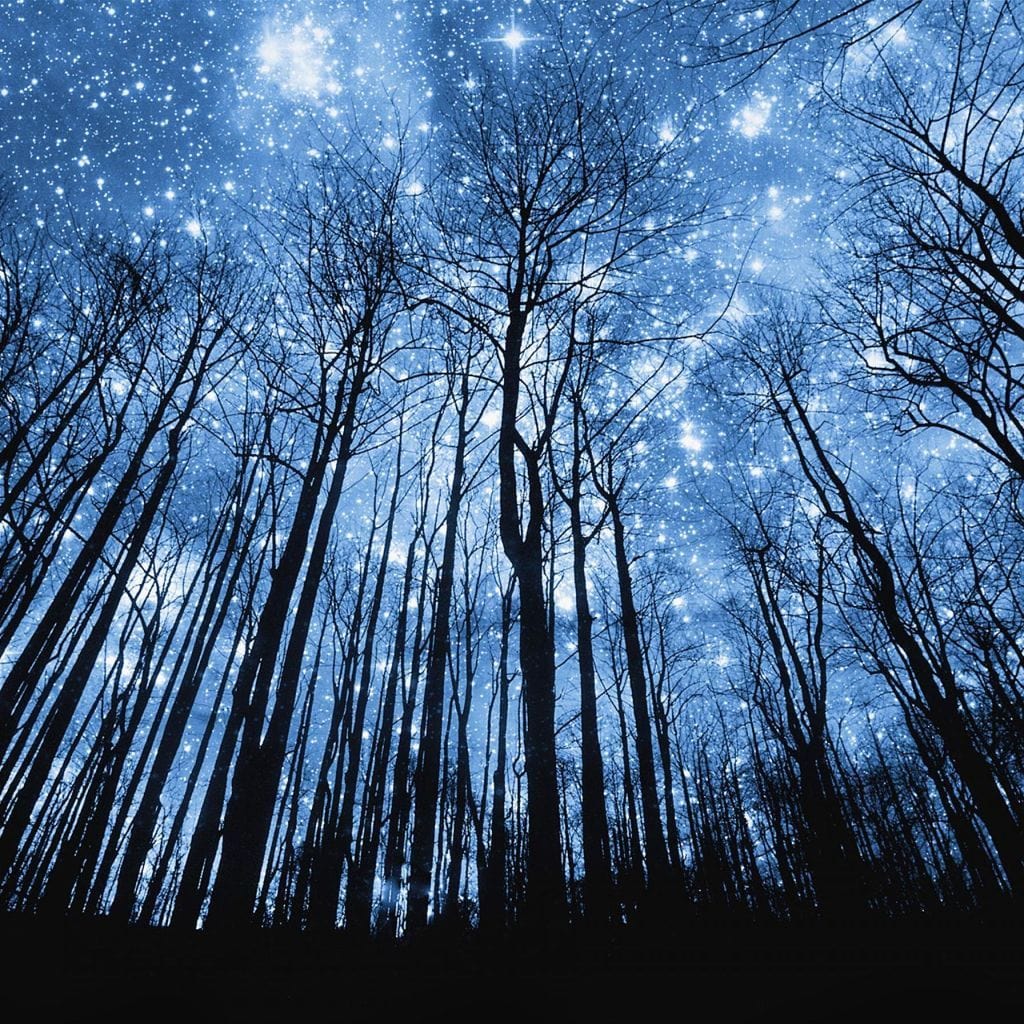 Forest Of Stars - Image 5