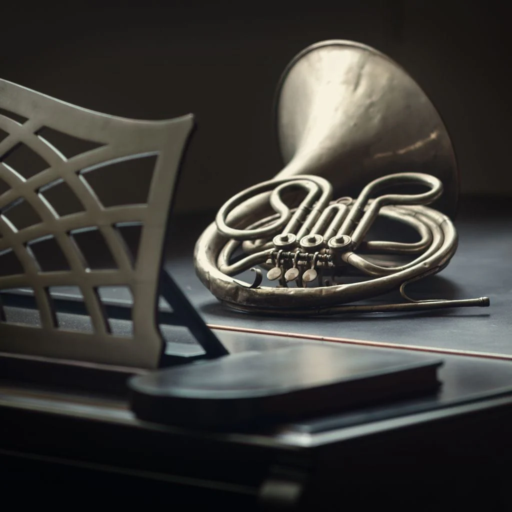 French Horn on the Grand Piano - Image 19