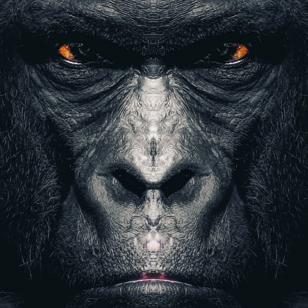 Gorilla - Zenzdesign - Image 16